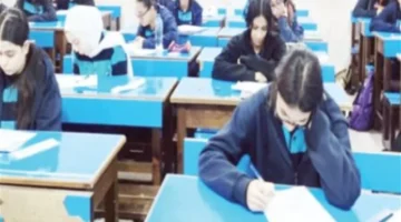 باعتماد المحافظ.. نتائج الشهادة الإعدادية في سوهاج متاحة برقم الجلوس عبر الرابط